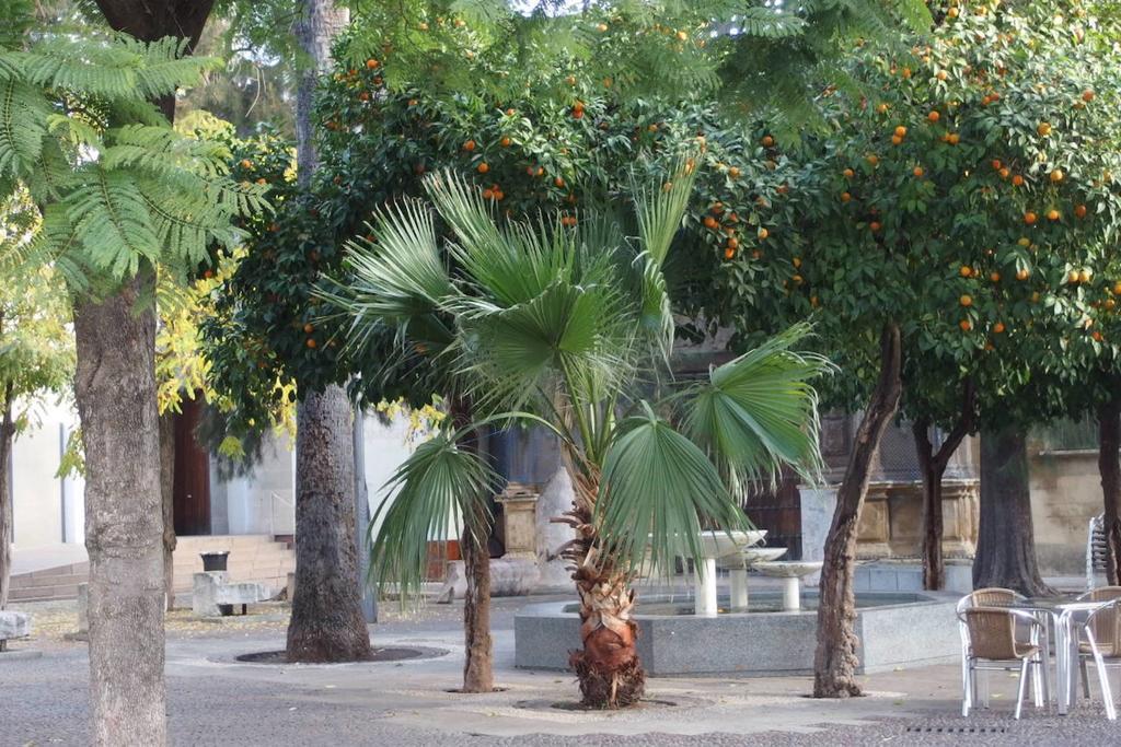 Centro Cordoba Apartaluz-8 Wifi Pk מראה חיצוני תמונה